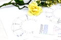 Close up of printed astrology birth chart, table of aspects and white flowers, workplace of astrology, spiritual, The callings, Royalty Free Stock Photo