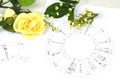 Close up of printed astrology birth chart, table of aspects and white flowers, workplace of astrology, spiritual, The callings,