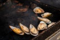 Close up: process of cooking mussels, clams on grill - seafood concept Royalty Free Stock Photo