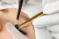 Close-up of the process of gluing eyelashes by a cosmetologist