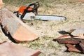 Close up professional chainsaw blade cutting log of wood