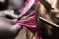 Close-up professional coloring strands of blond hair in bright pink color, beauty salon