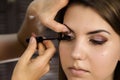 Close-up of professional make-up artist applying eyeliner on eyelid. Stylist is doing make up for female by eyeliner Royalty Free Stock Photo