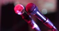 Close up of a professional vocal wire microphone on a microphone stand Royalty Free Stock Photo