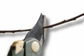 Close up of pruning shears Royalty Free Stock Photo