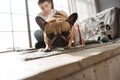 Close up of pug dog keeping his ears upright