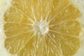 Close up of pulp from a oroblanco fruit Royalty Free Stock Photo