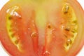 Close-up of pulp and seeds of tomato slice, backlit Royalty Free Stock Photo