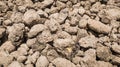 Close up of pumice stone