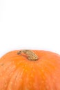 Close up of a pumpkin, concept of cornucopia, harvest, place for your text for autumn news, sales