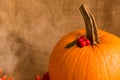 Close up pumpkin and hawthorn berries fall concept Royalty Free Stock Photo