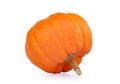 Close up pumpkin isolated on white background Royalty Free Stock Photo