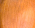 Pumpkin skin texture close-up Royalty Free Stock Photo