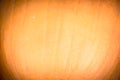 Pumpkin skin texture close-up Royalty Free Stock Photo