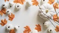 Close-up of pumpkins, orange maple leaves, twigs on white background, top view, flat lay, copy space. The concept of the beginning Royalty Free Stock Photo
