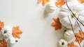 Close-up of pumpkins, orange maple leaves, twigs on white background, top view, flat lay, copy space. The concept of the beginning Royalty Free Stock Photo