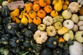 Close up of pumpkins and vegetables