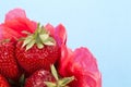 Close up of a punnet of strawberries