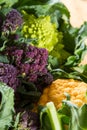 Close up on purple broccoli Royalty Free Stock Photo