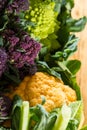 Close up on purple broccoli Royalty Free Stock Photo