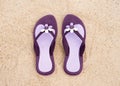 Close-up of purple flip-flops on the sand