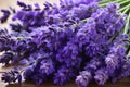 Close-up on purple lavender flowers. Generative AI