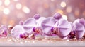 Close up of purple orchid branch on a light pink dreamy background with a sparkling diamonds Royalty Free Stock Photo