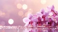 Close up of purple orchid branch on a pink sparkling background. Beautiful bokeh, copy space Royalty Free Stock Photo