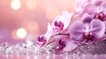 Close up of purple orchid on a light pink dreamy background with a sparkling diamonds Royalty Free Stock Photo
