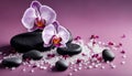 Close up of purple orchids with basalt stones on purple colored background
