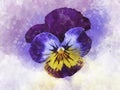 Close-up of purple pansy flower in watercolor. Botanical illustration for greeting card Royalty Free Stock Photo