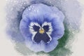 Close-up of purple pansy flower in watercolor. Botanical illustration for greeting card Royalty Free Stock Photo