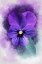 Close-up of a purple pansy flower in watercolor. Botanical illustration for greeting card Royalty Free Stock Photo