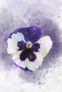 Close-up of purple pansy flower in watercolor. Botanical illustration for greeting card Royalty Free Stock Photo