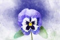 Close-up of purple pansy flower in watercolor. Botanical illustration for greeting card Royalty Free Stock Photo