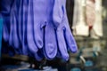 Close up of purple rubber cleaning gloves on store display Royalty Free Stock Photo