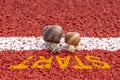 Close-up of racing snails on the start line Royalty Free Stock Photo