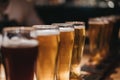 Close up of a rack of different kinds of beers, dark to light, on a table. Royalty Free Stock Photo