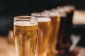 Close up of a rack of different kinds of beers, dark to light, on a table. Royalty Free Stock Photo