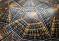 Close-up of a radiated tortoise shell (Astrochelys radiata) showcasing its distinctive star Royalty Free Stock Photo