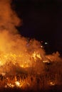 Close up of raging wildfire grassfire with emergency vehicle lights in background. Inspiration image for bushfire warning, summer