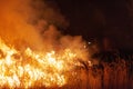 Close up of raging wildfire grassfire with emergency vehicle lights in background. Inspiration image for bushfire warning, summer