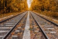 Close-up of rails and sleepers extending into the distance, landscape of the park, autumn leaf fall Royalty Free Stock Photo