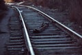 Close-up of railway tracks in the industrial zone. Travel. Royalty Free Stock Photo