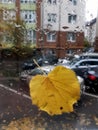 A close-up of a rain-splattered yellow leaf on a window. An autumn rainy day.