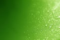 Close up the rain water drops on green sponge surface as abstract background Royalty Free Stock Photo