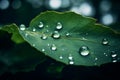 Close up raindrops falling on green leaf in serene nature inspired style plant after rain outdoors with bubble clear Royalty Free Stock Photo