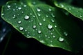 Close up raindrops falling on green leaf in serene nature inspired style plant after rain outdoors with bubble clear Royalty Free Stock Photo