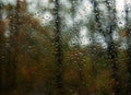 Close-up of raindrops running down the window. Autumn. Autumn background. Copy space Royalty Free Stock Photo