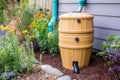 close-up of rainwater barrel with downspout and filter Royalty Free Stock Photo